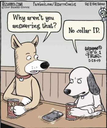 1722386013391.png