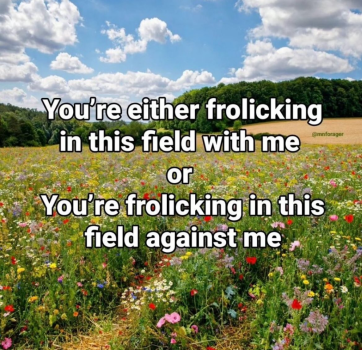 1722551358942.png