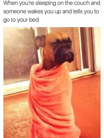 1723041606733.png
