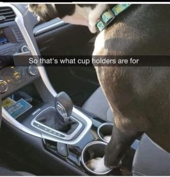 1723507781955.jpeg