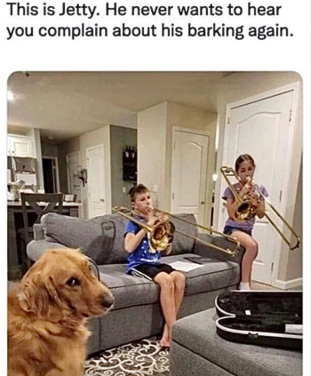 1723563976450.png