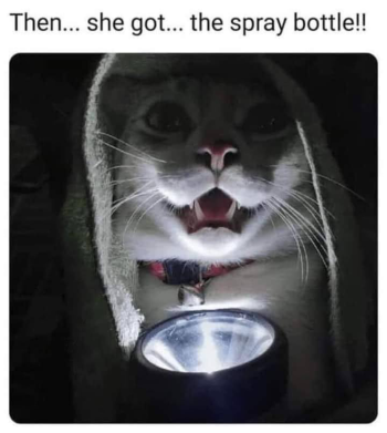 1723581168908.png