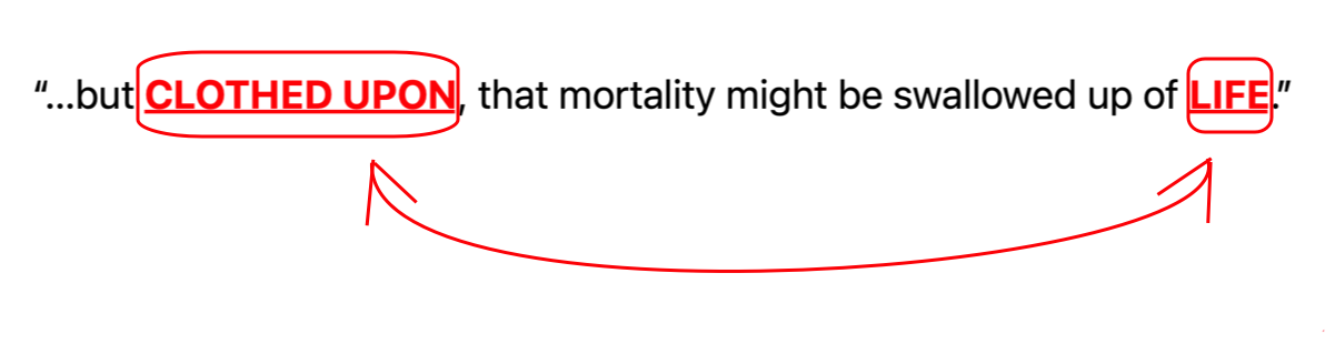 1723865215551.png