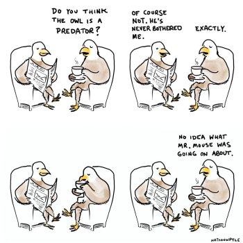 1723918629930.jpeg