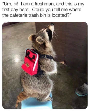 1724122882194.png