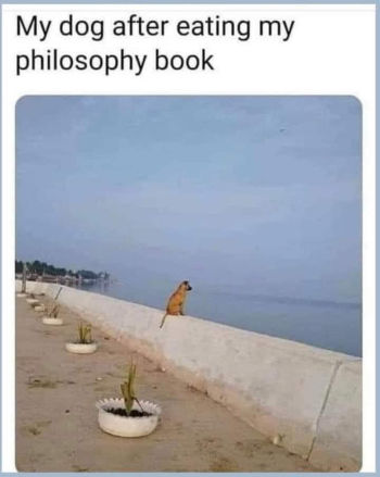 1724331527023.png