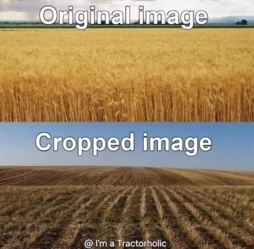1724430270098.jpeg