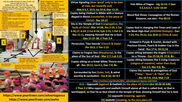 VICARIUS FILII DEI - Virtue Signaling Pope Image.jpg