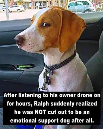 1724985289223.jpeg