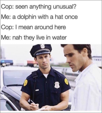 1725164099559.png