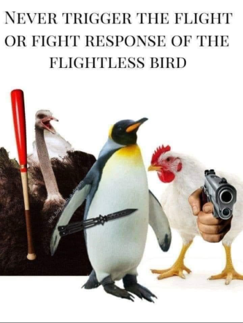 1725299721809.png