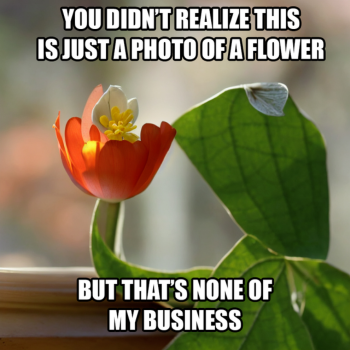 1725722452398.png