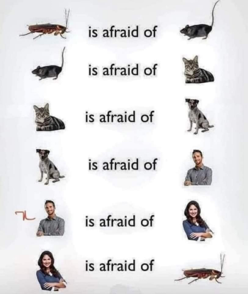 1725813689694.png