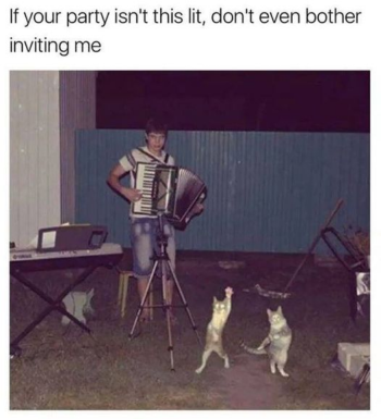 1725987347875.png