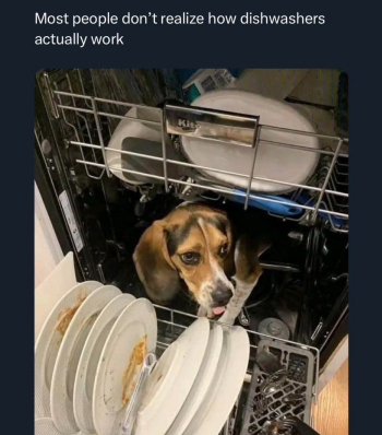 1726154032325.png