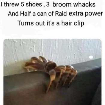 1726515723391.png