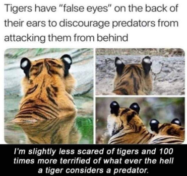 1726873547599.png