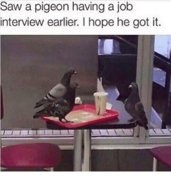 1726875716879.png