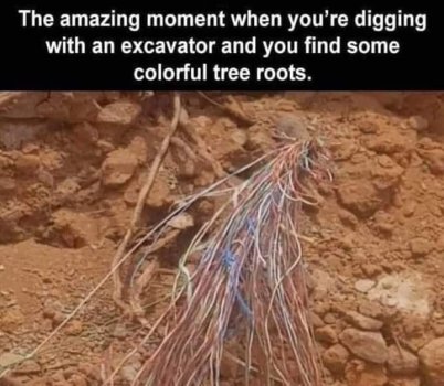 1727293258766.jpeg