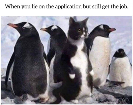 1727311884859.png