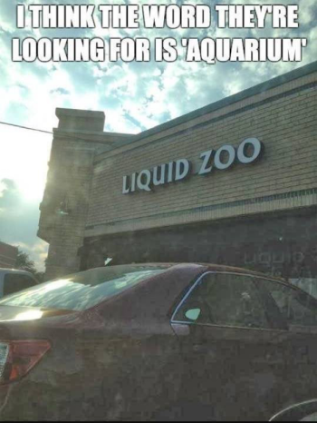 1727330885615.png