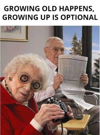 1727386833141.jpeg