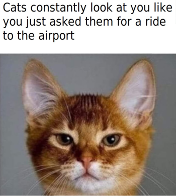 1727547617282.png