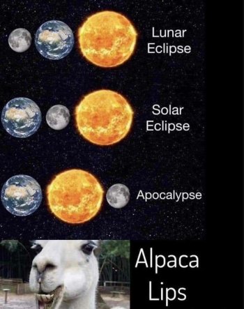 1727554130865.jpeg