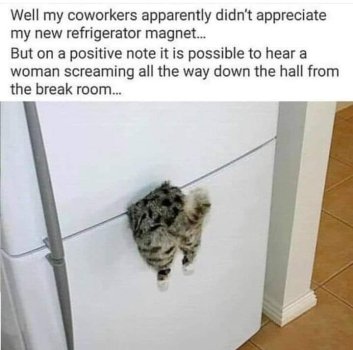 1727812847296.jpeg