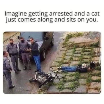 1728134381299.png
