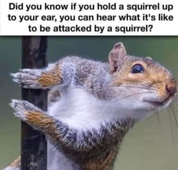 1728165031493.png