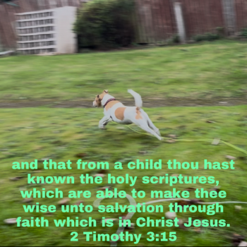 1728497238651.png