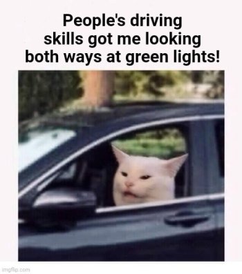 1728501518661.jpeg