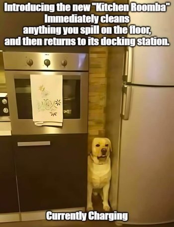 1729038630700.jpeg