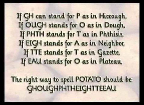 1729196091951.jpeg