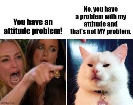 1729213067507.jpeg