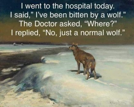 1729218885669.jpeg