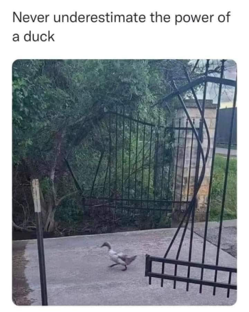 1729274817816.png