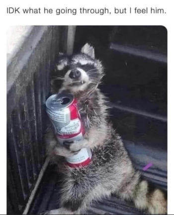 1729393738485.png