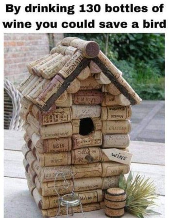 1729794228852.jpeg
