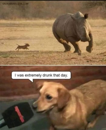 1729797483261.jpeg