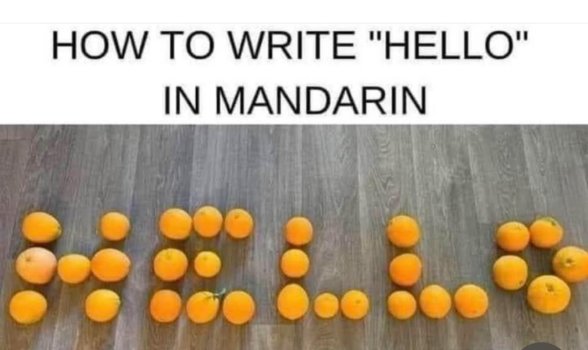 1729807027935.jpeg