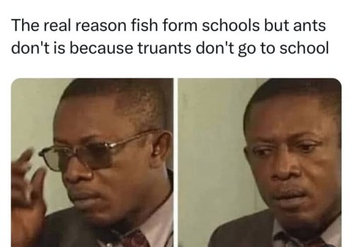 1730188315712.jpeg