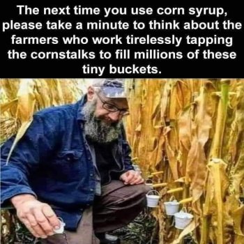 1730418121421.jpeg