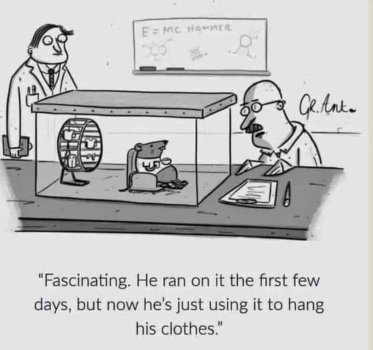 exercise funny.jpg