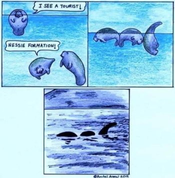 1730547218272.jpeg