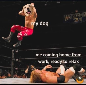 1730547686207.jpeg