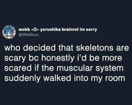 1730823046012.jpeg