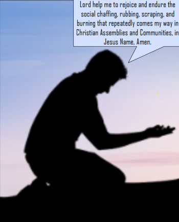 1730976446147.png