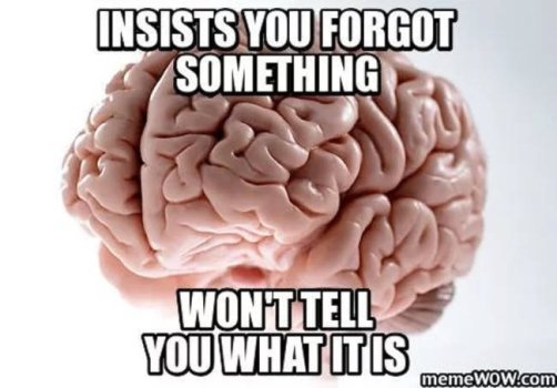 1731099877314.jpeg